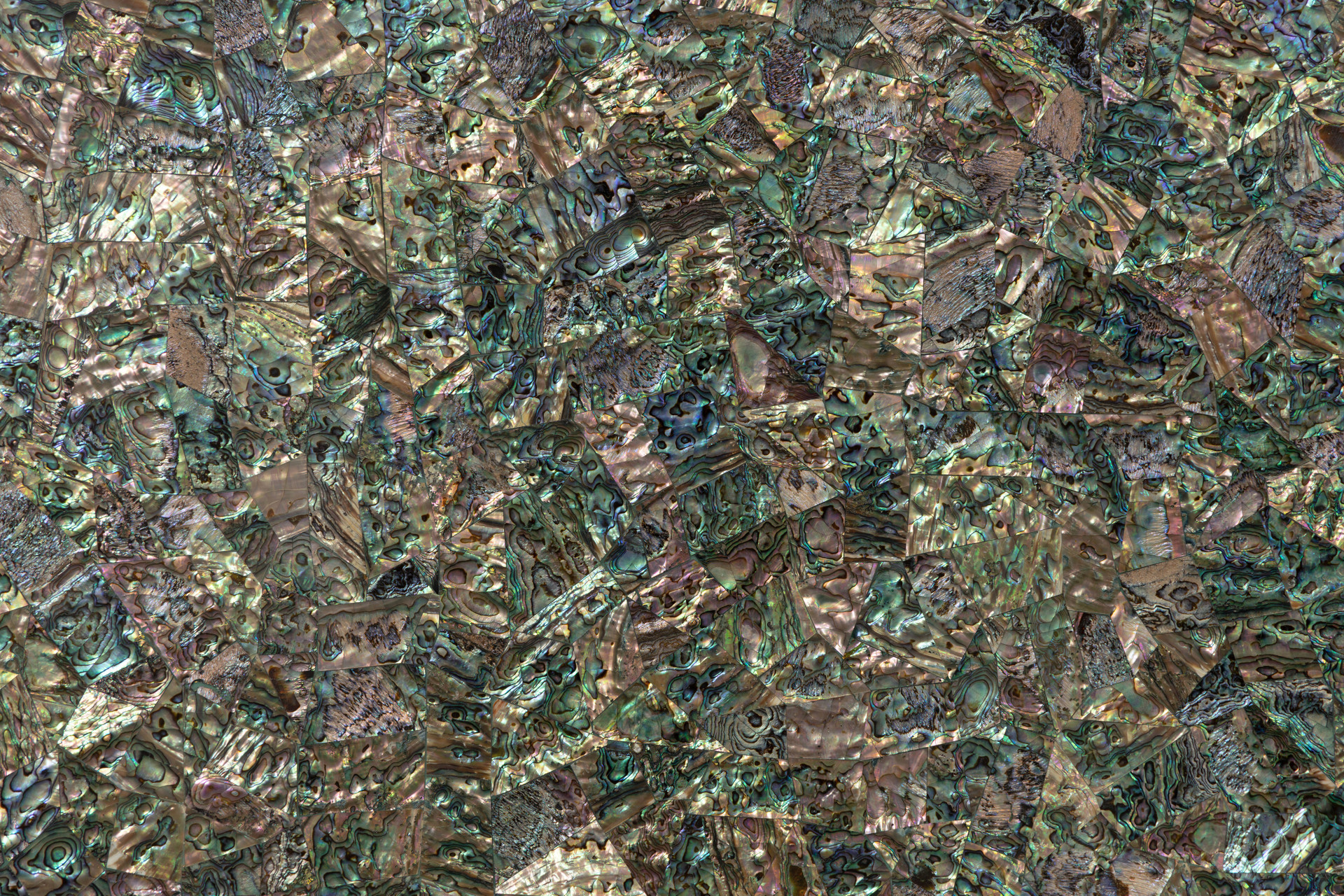 MOP Abalone