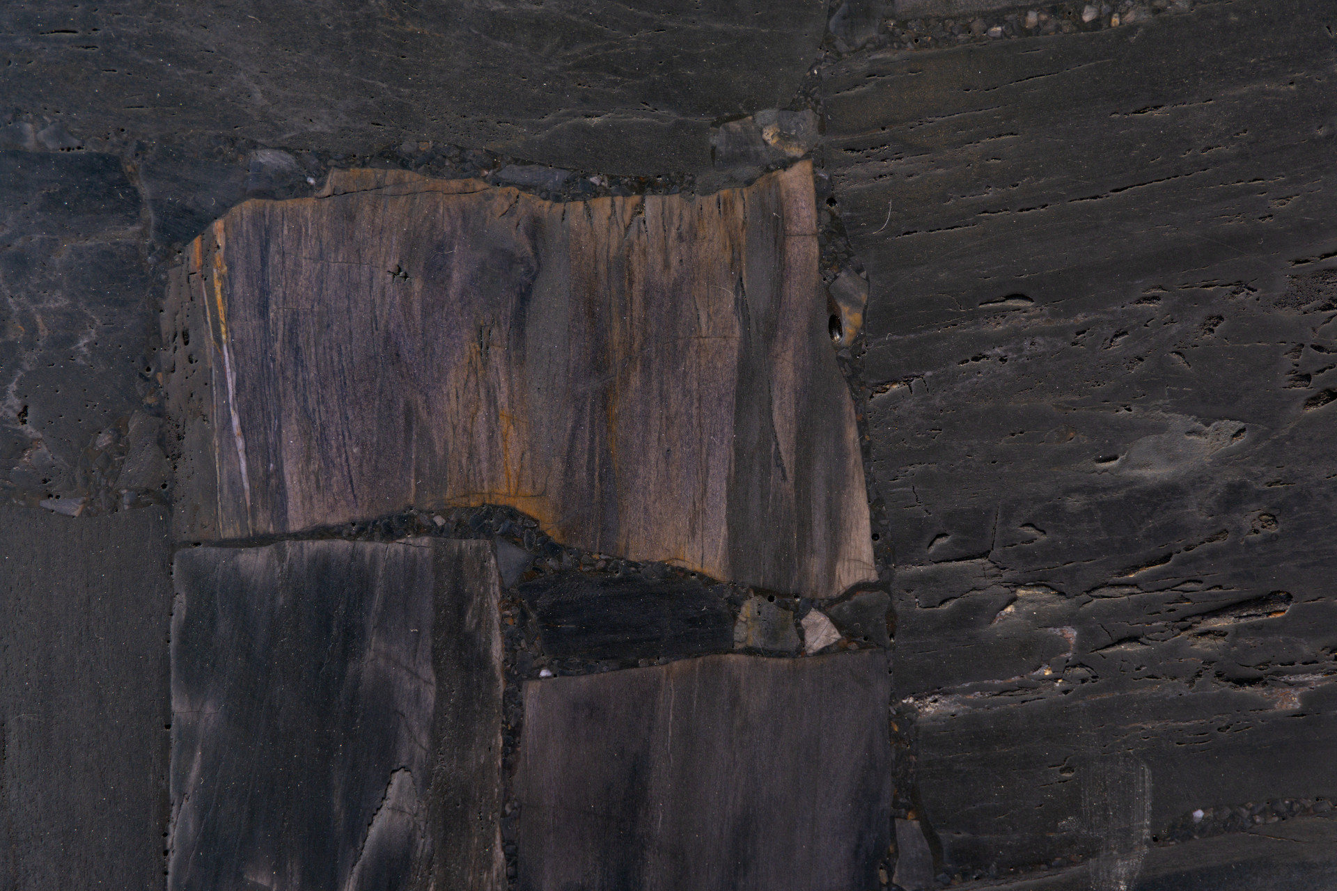 Black Petrified Wood Reverse Cut