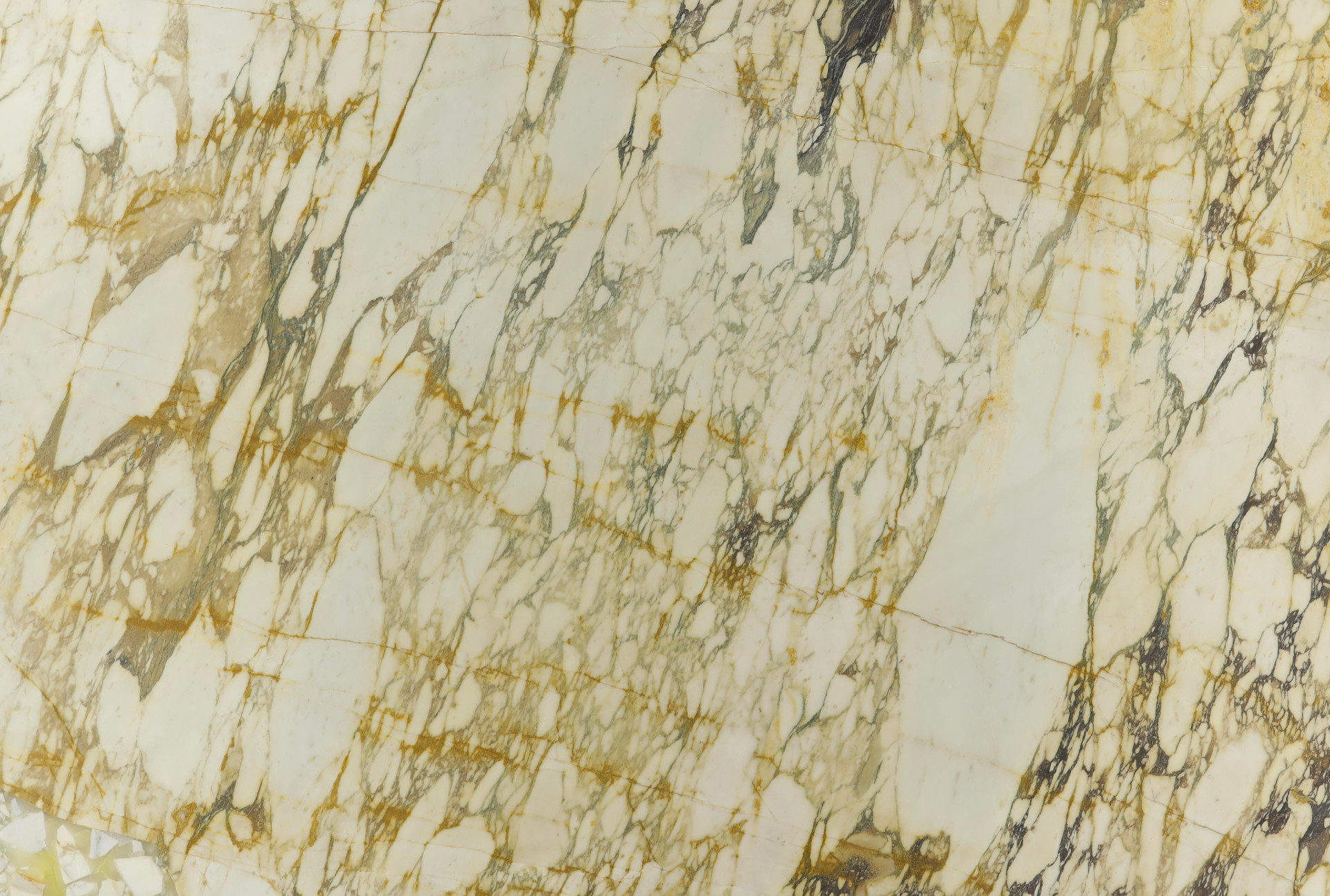 Calacatta Monet Gold