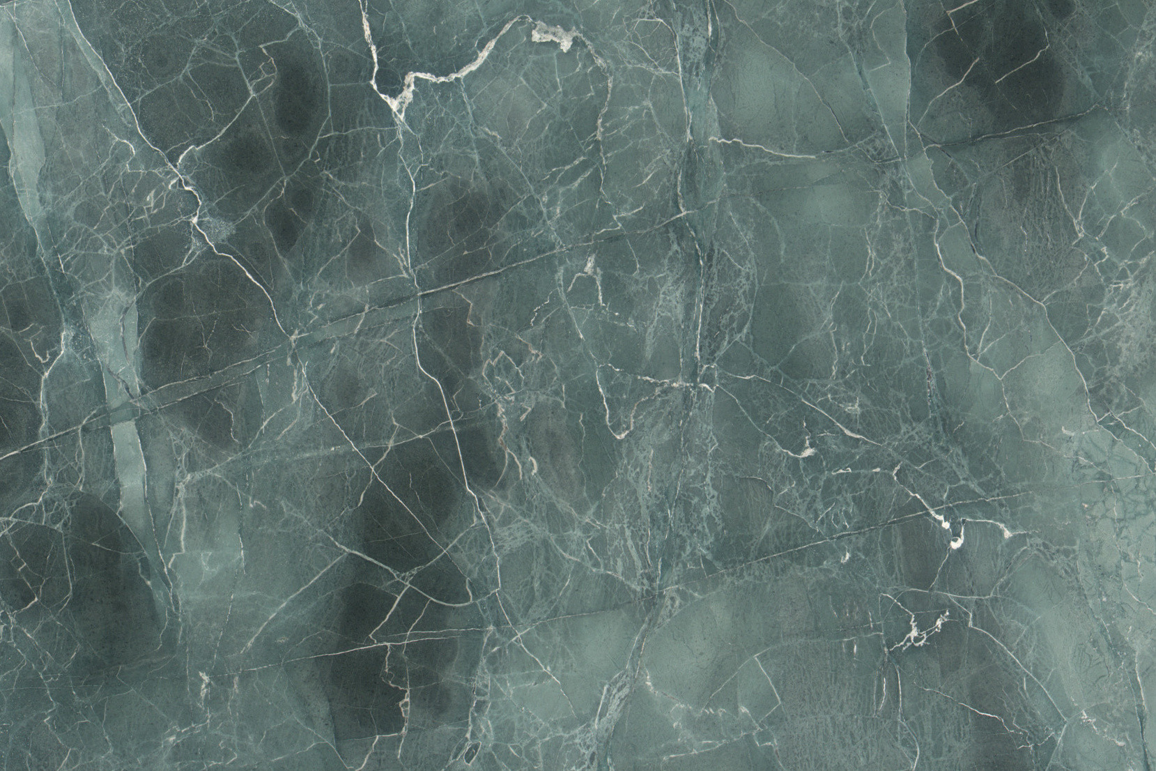 Green Algae