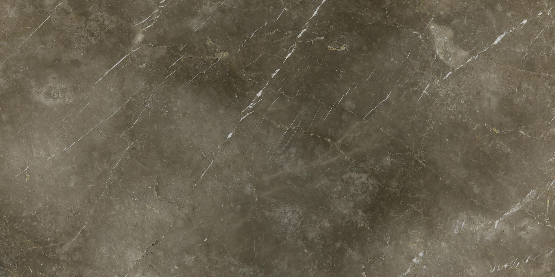 Grigio Collemandina