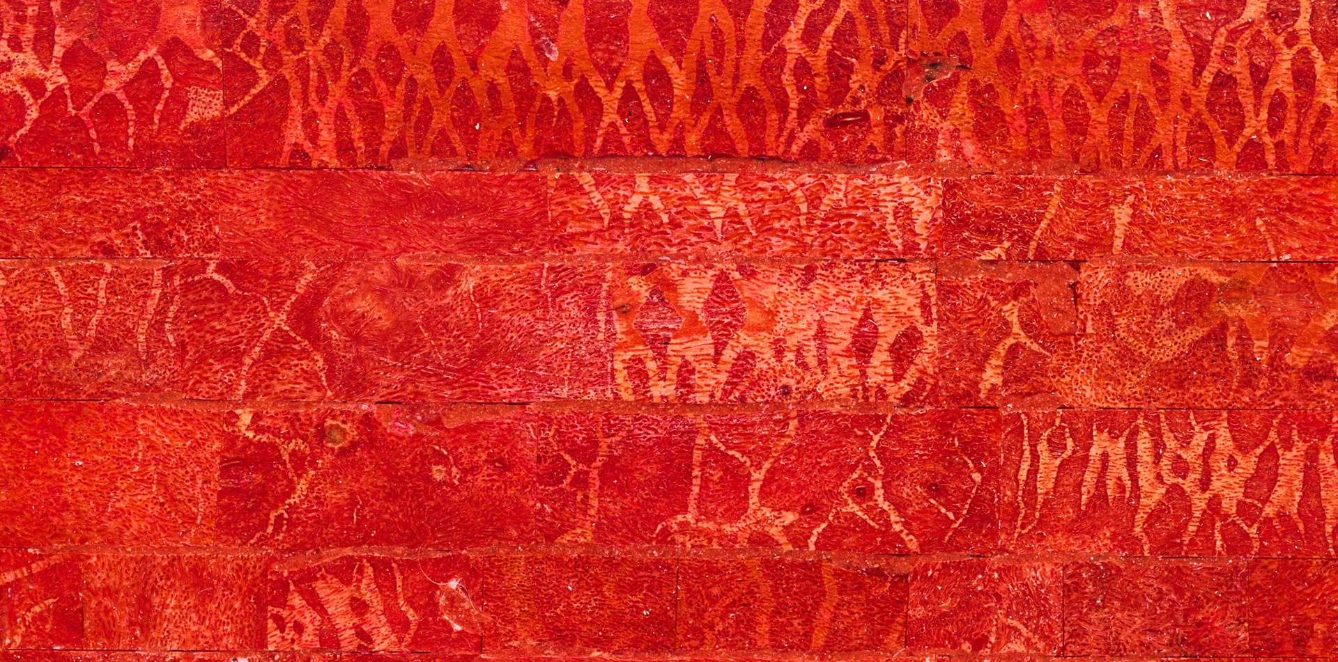 Natural Coral