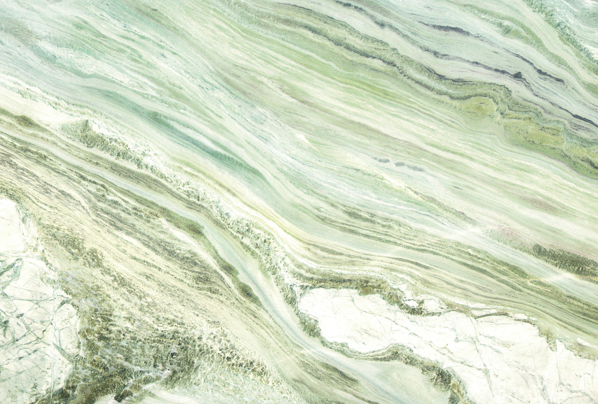 Sequoia Green