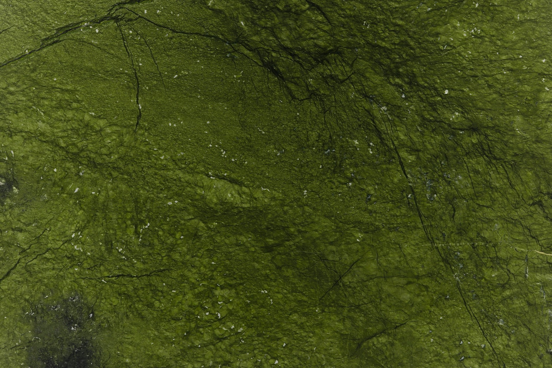 Verde Giada
